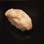 鮨 竜介 - ホッキ