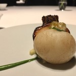 レフェルヴェソンス - 定点〜 蕪とパセリ、キントアハム、ブリオッシュ