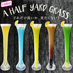 本格焼肉チファジャ - ドリンク写真: