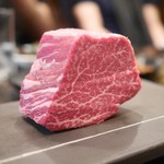 SATOブリアン - シャトーブリアン