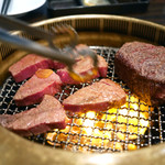 SATOブリアン - シャトーブリアン　2種