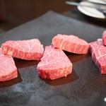 SATOブリアン - シャトーブリアン