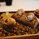 レストラン　トエダ - 