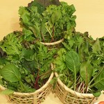 やさいと豚 - お野菜15種類（1人１カゴ）