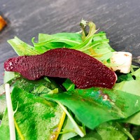 ザ モメンタム バイ ポルシェ - 