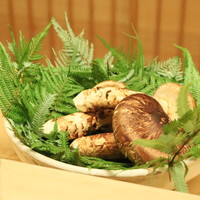 緒方 - 