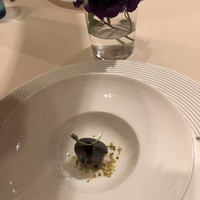 ラ ベデュータ - 