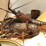 肉屋 雪月花 NAGOYA - 