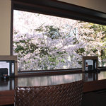 Ganso Hakata Mentaijuu - ランチタイムに人気!!2階カウンター席（春には桜が満開です♪）