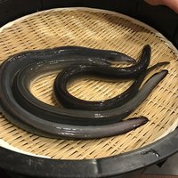 入谷鬼子母神門前のだや - 
