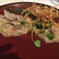 Wattle Tokyo - 