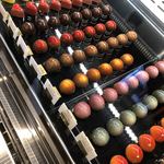 ル・プティ・ボヌール - 