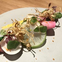 LIAISON - 
