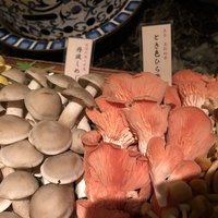Shangri-La's secret ROPPONGI - 
