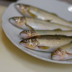 うを徳 - 吉野川の鮎（あゆ）