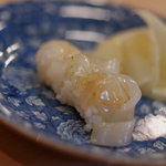 うを徳 - 障泥烏賊（あふりいか）