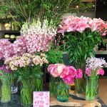 80991005 - お花が溢れる店内^ ^
                      色とりどりな花がグラデーションのようで、虹がかかったように美しいです♡