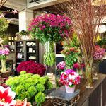 Nicolai Bergmann NOMU - どこを見ても美しい〜♡