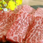 A5 rank aged Chiya beef special short ribs