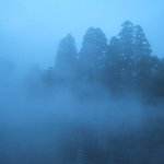 亀の井別荘 - 朝霧の金鱗湖