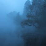 亀の井別荘 - 金鱗湖畔