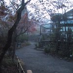 亀の井別荘 - 敷地内の朝霧