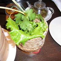 文菜華 - 文003