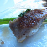 サーラ アマービレ - 乳呑み仔羊のローストＵＰ３（11.5月）