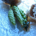 サーラ アマービレ - 乳呑み仔羊のローストＵＰ４（11.5月）