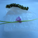 サーラ アマービレ - あおりいかのカルパッチョＵＰ（11.5月）