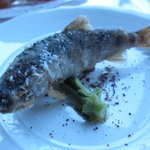 サーラ アマービレ - ヤマメと山菜　スマックとヴァージンオイル（11.5月）