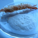 サーラ アマービレ - 春の苦みと車海老フライ（11.5月）