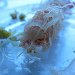 サーラ アマービレ - 春の苦みと車海老フライ断面（11.5月）