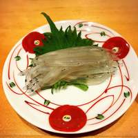 福鮨 - しらうお