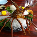 珊瑚礁 - イセエビの活造り