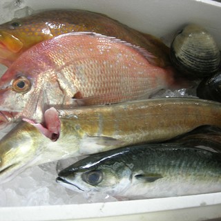 魚介類は日本列島から旬で粋な食材を。