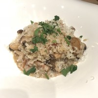 ダルマット 六本木ヒルズ店 - 
