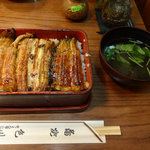 Unagi Irokawa - 