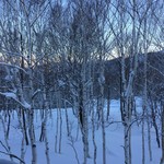 コンテデネイジュ - 