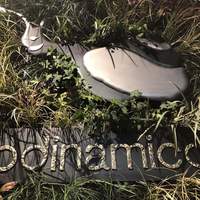biodinamico - 