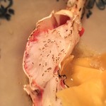 カーサ カルマ - かに！