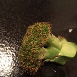 カーサ カルマ - ブロッコリー