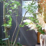 帰燕 - 外観の風景です