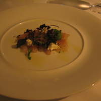 Wattle Tokyo - 