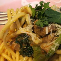 biodinamico - 