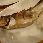 飲食笑商何屋ねこ膳 - 2011.5 はたはた焼き