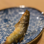 うを徳 - 琵琶湖（びはこ）の活諸子（いけもろこ）