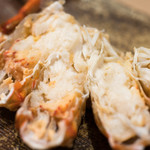 うを徳 - 2018.2 択捉島花咲蟹 腹、ふんどし