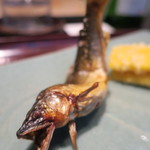 日本料理 晴山 - 