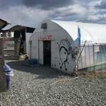 石巻かき小屋 - お店の外観です